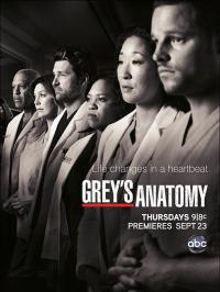 Смотреть онлайн Онлайн Сериал Анатомия страсти / Grey's Anatomy 6 Сезон